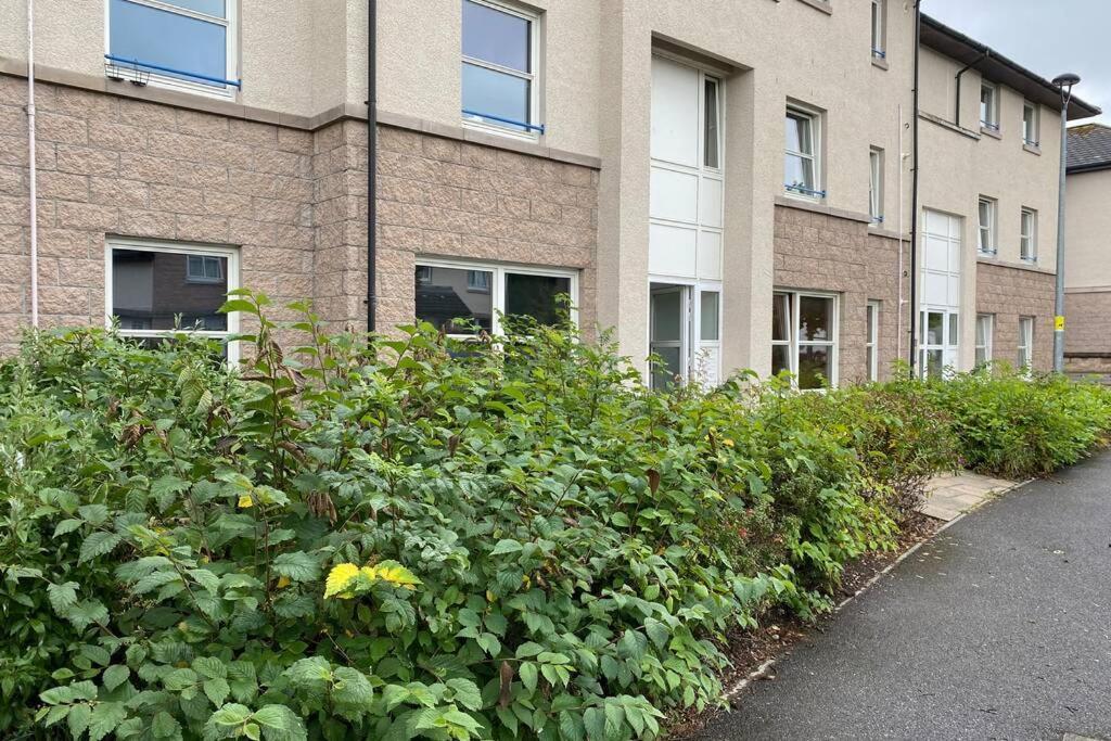 Peter Pan Apartment In The Heart Of Inverness Dalneigh Esterno foto